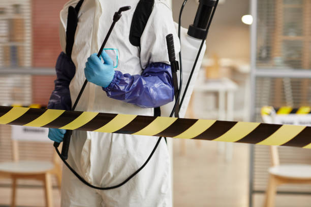 Professional Hoarding Cleanup technician working in Hamilton, IN